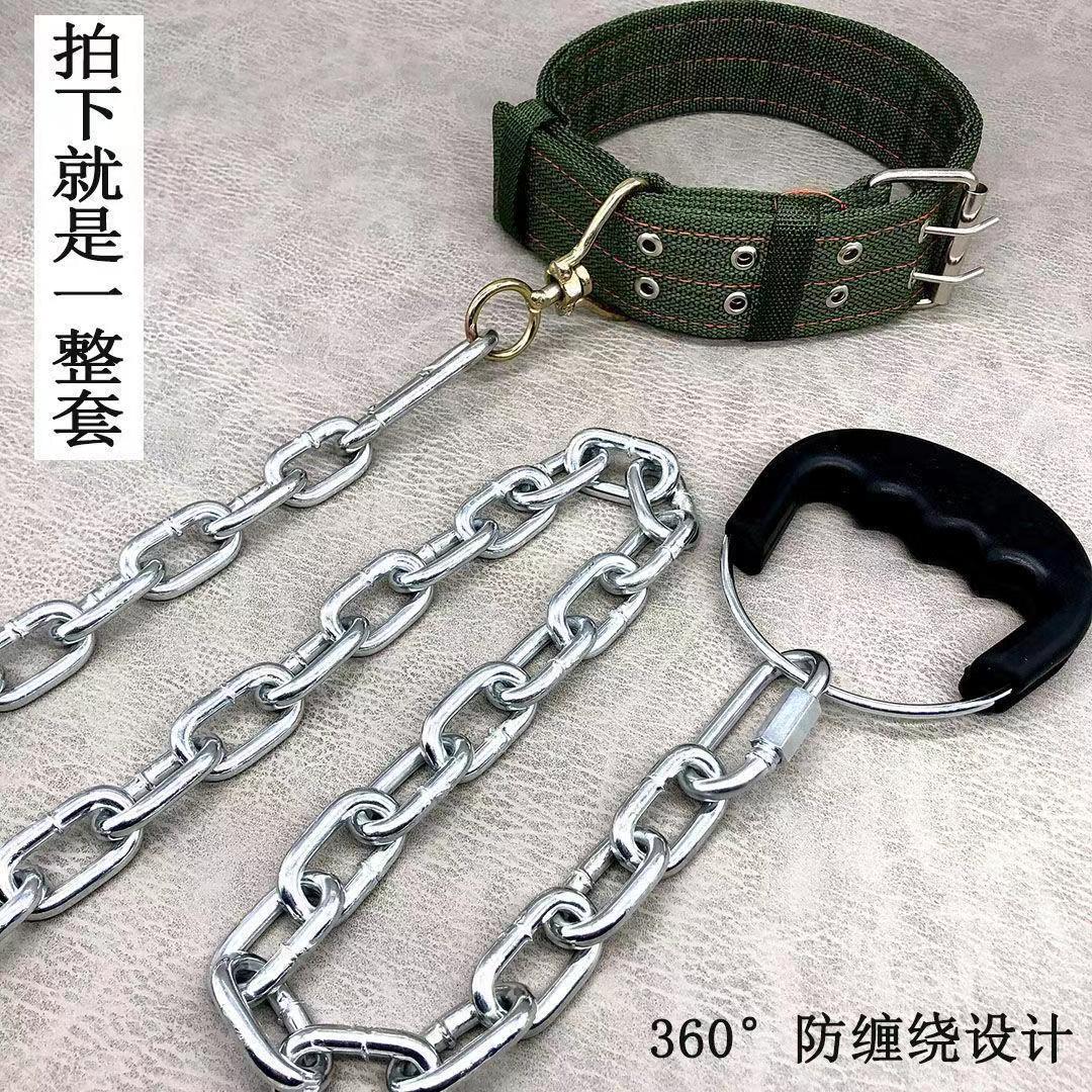304不锈钢狗链 vs 铁链：遛狗神器大比拼，泰迪金毛都适用！