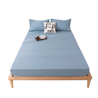 床笠单件床罩2024新款全包宿舍床单席梦思床垫保护罩非全棉床垫套