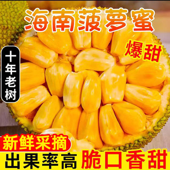 Hainan yellow flesh jackfruit freshly picked whole