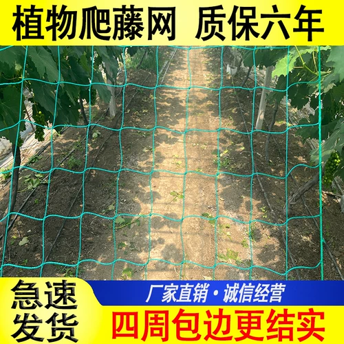 Сетка для восхождения на растения, рамка Luffa, горькая дыня, роза, виноградная лоза, сетка для восхождения, прочная садовая сетка для балкона