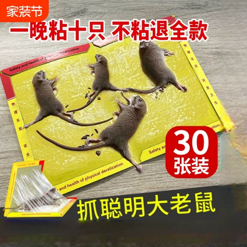 Наклейка на мыши сильная липкая пластина мыши с большими мышиными спецэффектами, ловца, ловца, зажима мыши, мышиная клетка для мыши, проверенная звезда мыши