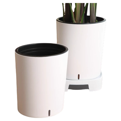 懒人自动吸水大花盆|超1万次加购