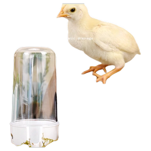 芦丁鸡食盒亚克力喂食器食盒芦丁鸡鹌鹑饮水器透明大容量育雏用品