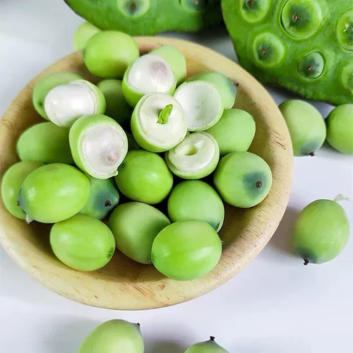 Хунань Сянгтан Fresh Lotus Film выбирает и ест сладкие и нежные семена лотоса натуральные фрукты.