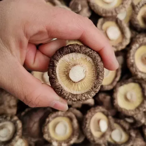 Ценностные грибы, грибы, грибы, новые продукты, сухие грибы, не сетчатый вес, не сетки, суп из басвуда грибы