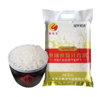 柬埔寨香米进口长粒香大米猫牙米新米丝苗香籼米10斤优质便宜真空