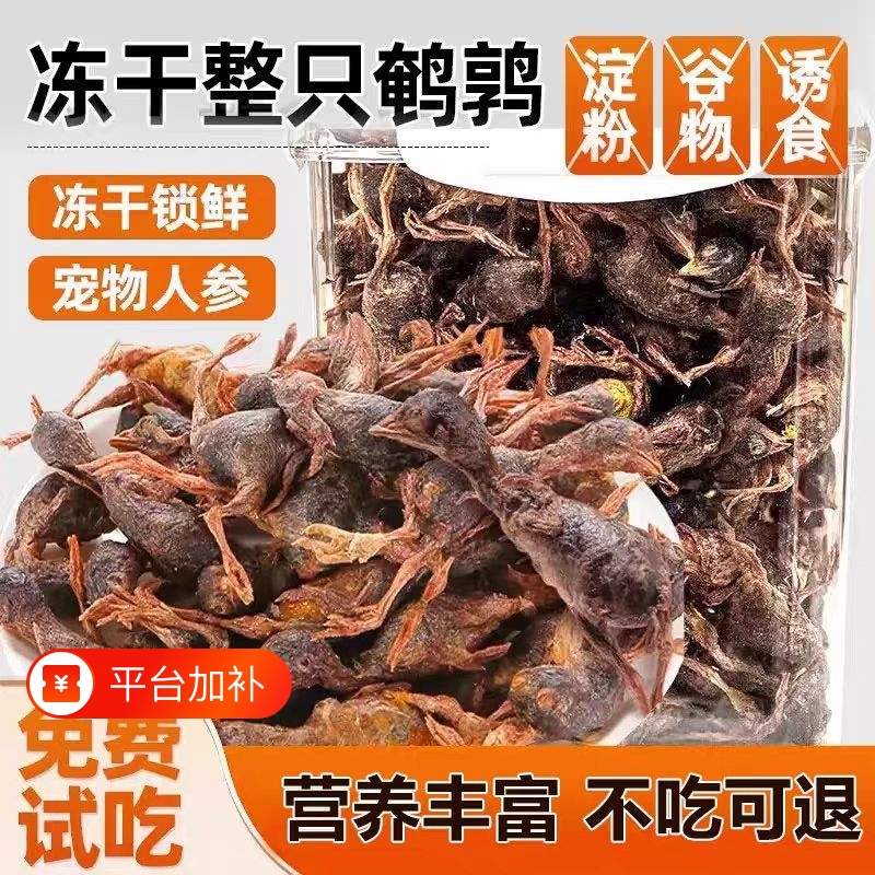 Freeze-Dried Quail Snacks for Cats and Dogs, Weight-Gaining Snacks, Freeze-Dried Food, Raw Meat, Small Quail Snacks for Cats Freeze-Dried Quail Snacks for Cats and Dogs, Weight-Gaining Snacks, Freeze-Dried Food, Raw Meat, Small Quail Snacks for Cats