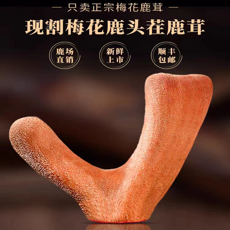 揭开整根梅花鹿筋背后的秘密：从直播称重到养生新风尚