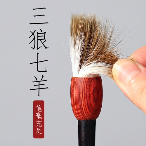 Wensu Tang Bi Bi Shu Lishu, посвященная чесночной ручке, Cao Quanbei использует ручку и каллиграфию толстую голову, напишите маленького ученых -волка, большой большой сценарий, китайская живопись, небольшой овцы кай -волков.