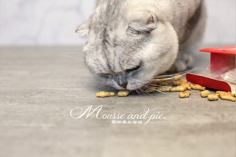 Mousse rơi vào tình yêu với phong cách Pháp. Câu cá, câu cá, ăn catnip, cá hồi, mực, cá, bánh quy, cá khô, đồ ăn nhẹ cho mèo. - Đồ ăn nhẹ cho mèo