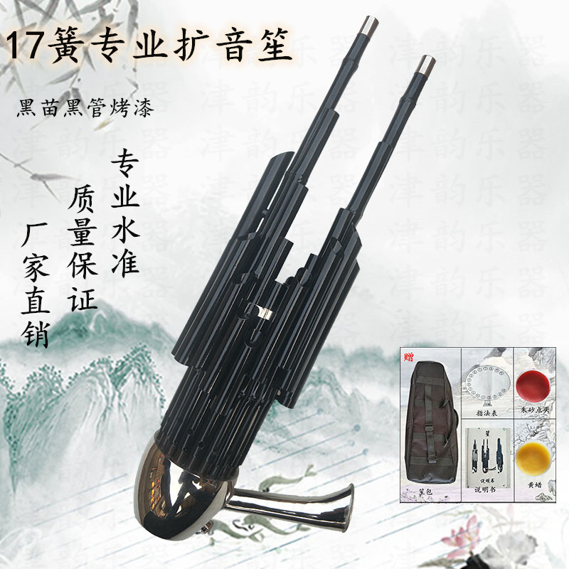 17 Spring Sound Amplifying ShengSheng Musical Instruments 17 spring  Ebony Sheng foot high-grade major adult student beginner introduction DC transfer circular Sheng