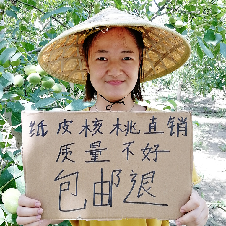 Xinjiang Aksu 185 paper skin walnut 2022 new goods 500g*2 original bulk pregnant women non-thin skin walnut