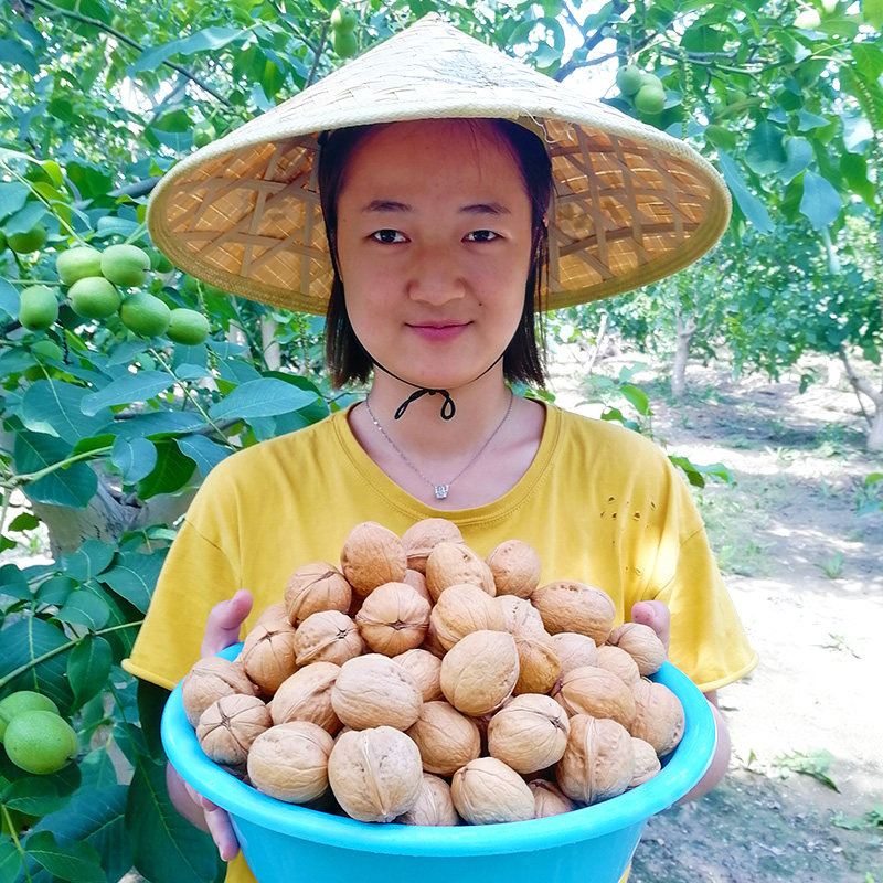 2020 Xinjiang 185 paper-skinned walnuts 5 pounds of 2500g new thin-shell first-class original pregnant walnut thin-skinned