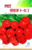 Семена вишневого радио, тонкое мясо нежное, сочный красный кубики маленькая редька, семена овощей, весенний и осенний двор пастырский горшок