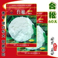 Taisong 60 дней/10 граммов [рекомендуется высокая доходность]