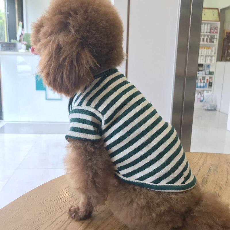Original mono-Japan-ROK pet pooch clothing spring and summer cat dog teddy young dog cute short sleeve clothes
