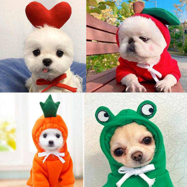 Autumn Winter Pet Clothes Teddy Kitty Dogs Clothes Small Medium Dog Grip Suede Thick Cotton T Cartoon Clothing