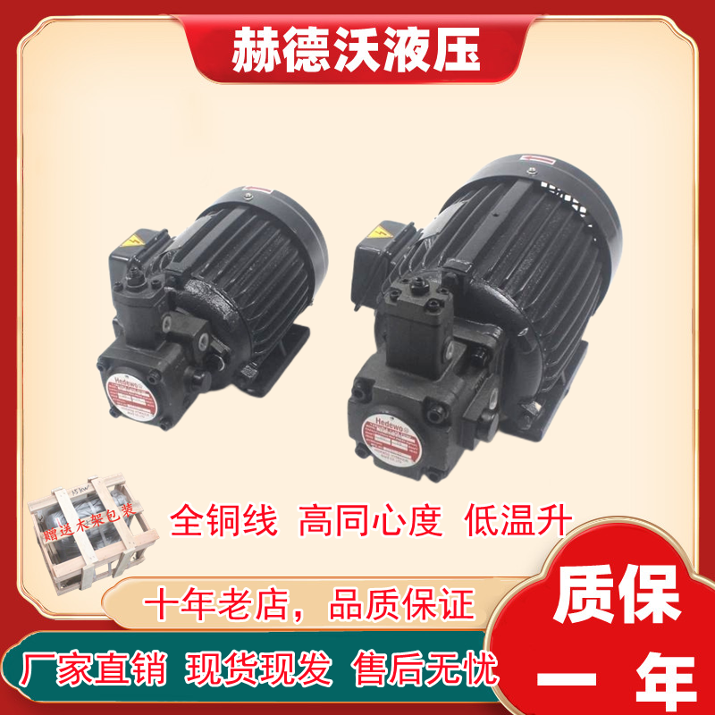 Hydraulic motor Hydraulic station fittings oil pump motor 0.75KW 1.5KW 2.2KW with VP20 VP15 VP30