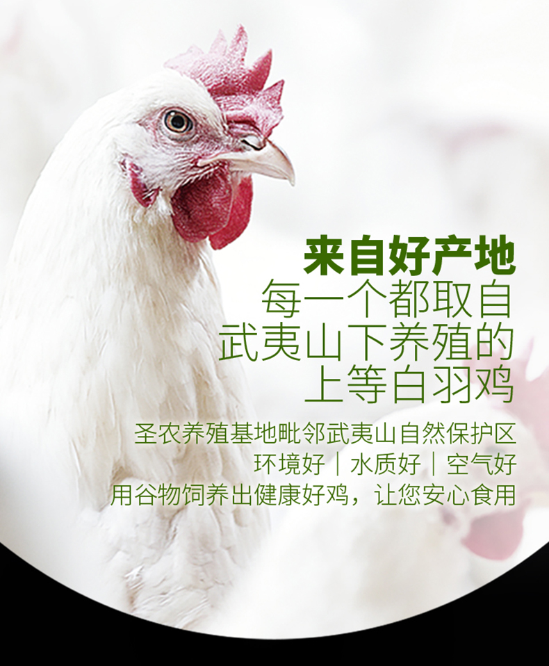 圣农 新鲜冷鸡全腿 超大鸡腿 6斤整箱 图3