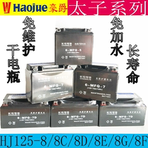 Applicable HJ125-8 8C 8D 8E 8F battery Prince motorcycle dry battery battery free of maintenance