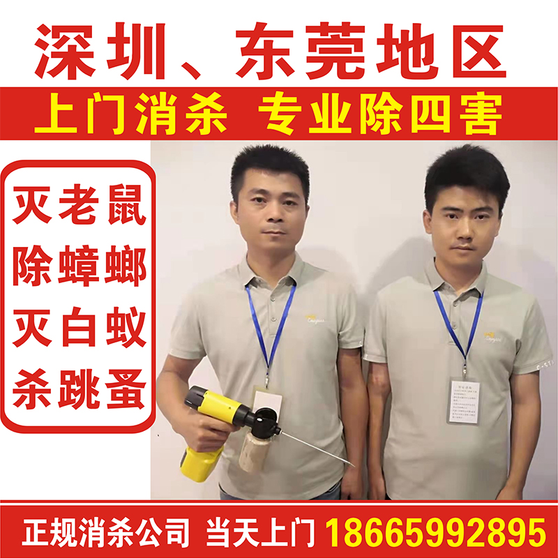 Shenzhen rodent eradication company door-to-door rodent eradication professional eradication and elimination of the four pests