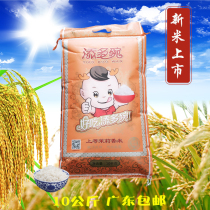 Jin Shenghui adds more bowls of Jasmine Fragrant Rice 10kg20 jin rice canteen special rice Guangdong