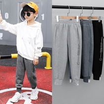 Boy Pants 2022 Spring Autumn New Children Ocean Gas Loose Harun Sportswear Big Boy Fall Casual Pants Tide
