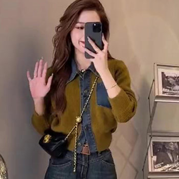European Style Heavyweight 2025 Early Autumn New Loose Long-Sleeve Denim Patchwork Sweater T-Shirt Outfit Thin Women's Clothing