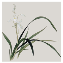 Embroidery diy handmade antique materials package embroidery students Su embroidery diy initial embroidery basic orchid etc.