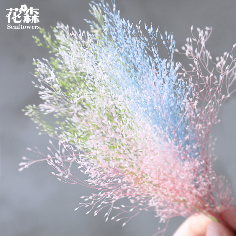 Imported Land Farm Fountain Grass 02833 Immortal Flower Ingredients Dry Flower Hand Covering Flower Floating Flower Material Bag DIY