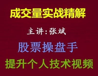 张斌成交量实战精解全5集 股票操盘手涨停入门技术视频教程