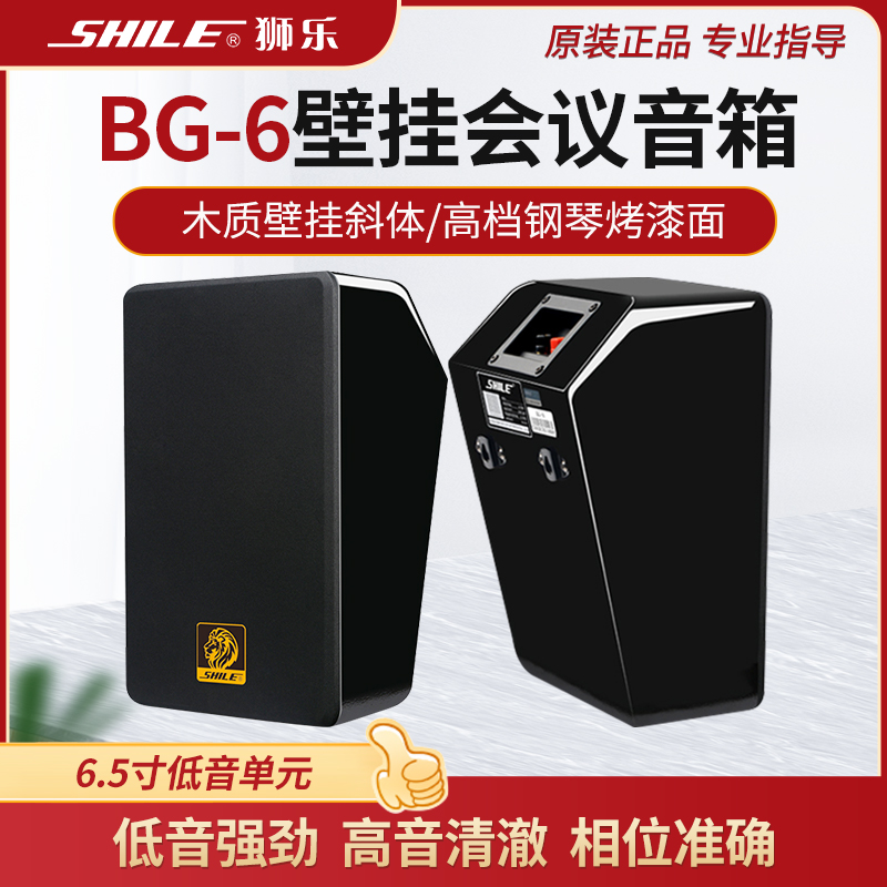 Lion Music BG-6 Professional Conference Room Training Background Music High-end Wall-mounted Speaker