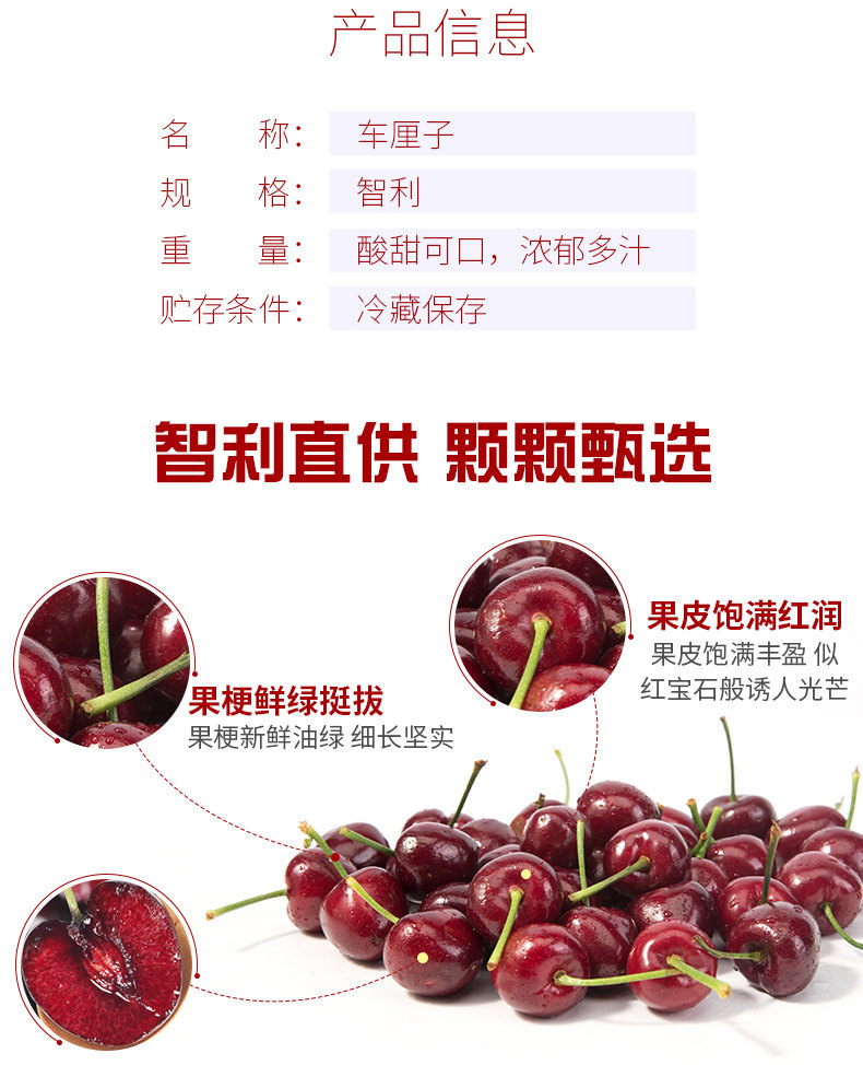 智利进口黑珍珠车厘子 11月下旬提货 图3