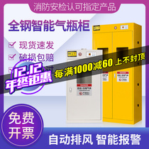 Gas bottle cabinet safety cabinet laboratory acetylene methane hydrogen liquefied gas storage cabinet all steel explosion-proof gas cylinder cabinet