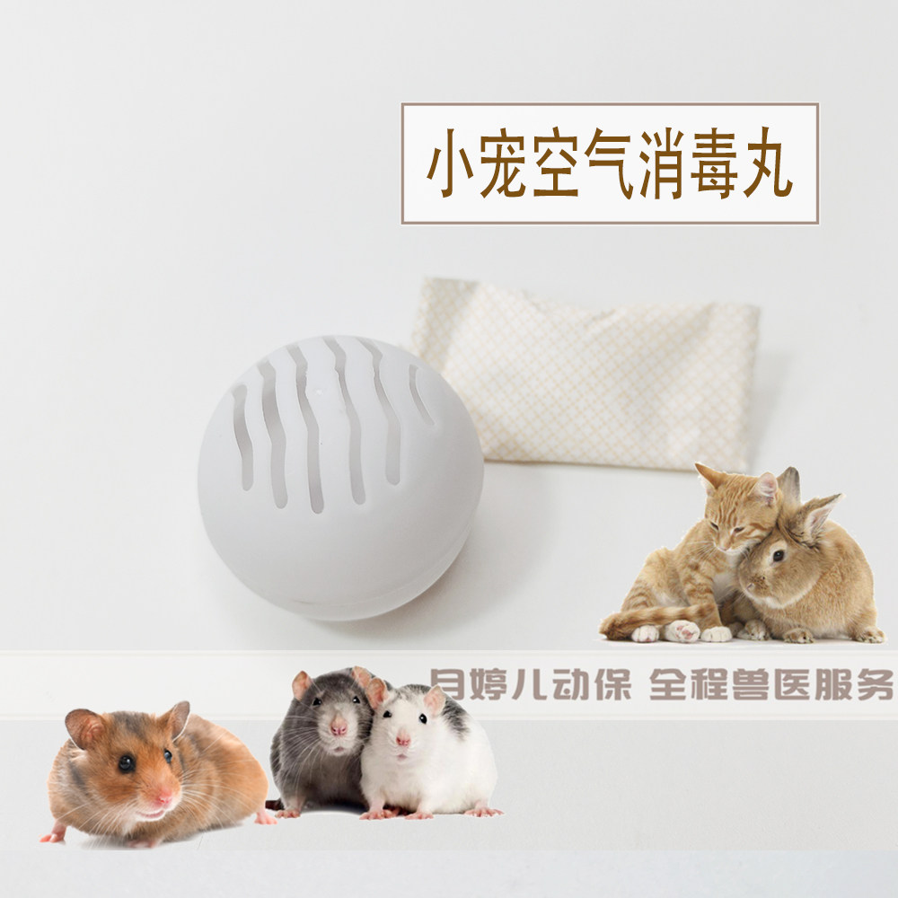 小宠空气消毒丸预防杆菌孢菌兔子豚鼠仓鼠侏儒熊龙猫真菌新手