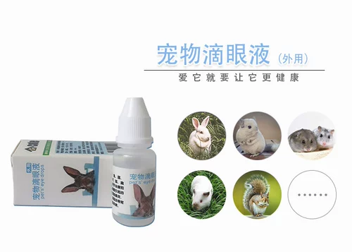 Глаза домашних животных кролика