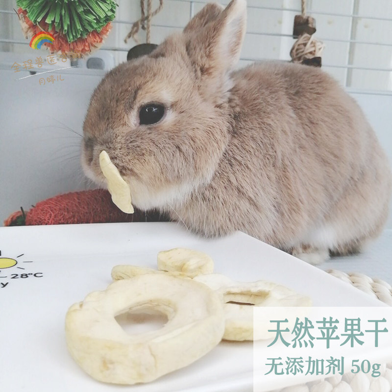 苹果干纯手工零食50G 无添加兔子龙猫豚鼠仓鼠花枝 H24