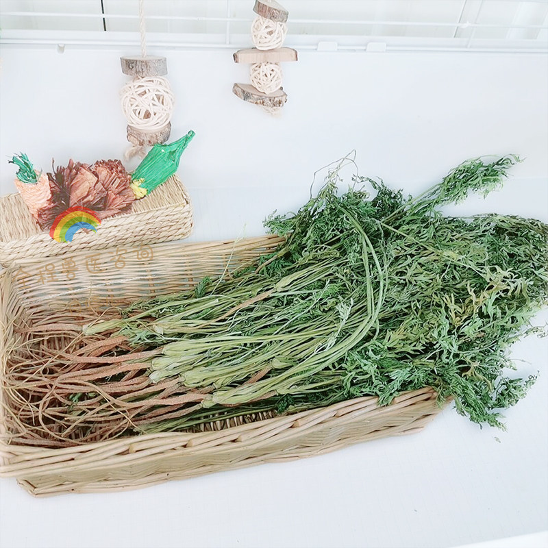 胡萝卜叶嫩苗零食兔子龙猫荷兰猪土拨鼠羊驼花枝孕宠牧草保健草
