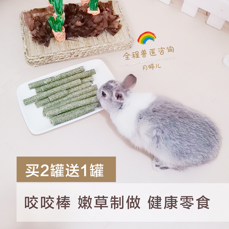 Molar grass stick Carrot grass stick Rabbit Guinea pig Chinchilla Molar snack bite stick E41 Yuetingerer