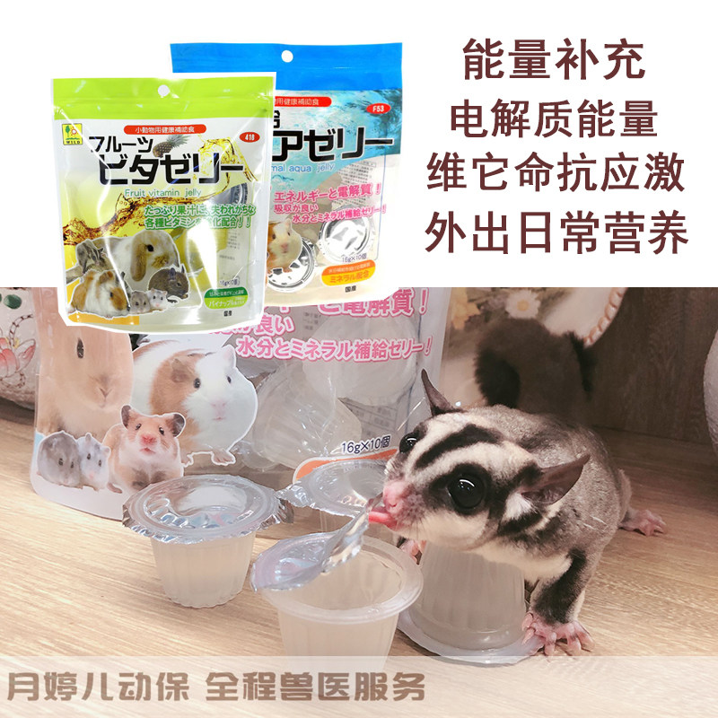 Pint high amino acid electrolyte jelly out for anti-stress rabbit dragon cat flower hamster honey bag Guinea Guinea Pig