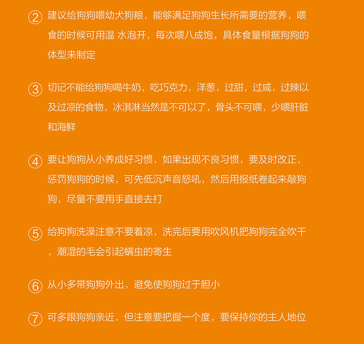 广州哪里有卖纯种椒盐色超小体雪纳瑞幼犬 找新家