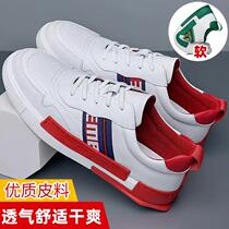 Shengli Horse Fashion Color and Breathable Casual White Shoes