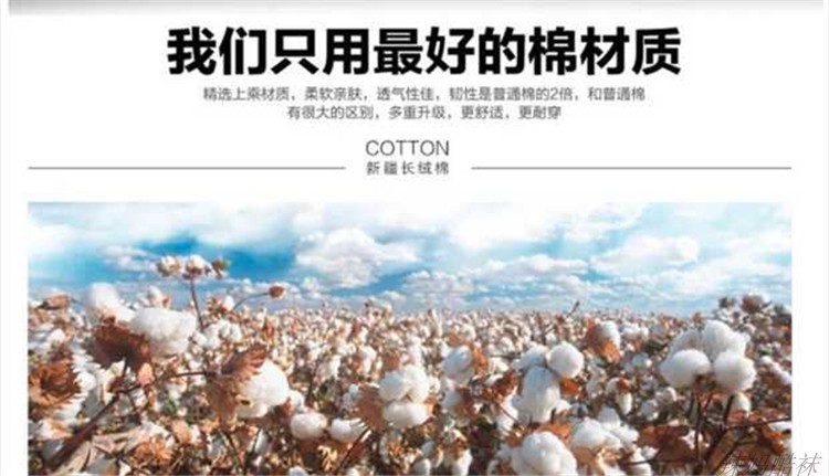 Hươu vớ nam mùa xuân và mùa hè siêu mỏng lưới thoáng khí cotton vớ thuyền nông miệng thấp để giúp ống ngắn thể thao giản dị vớ nam