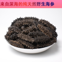 Six rows of thorn ginseng in Hokkaido Japan wild Apostichopus japonicus 500g