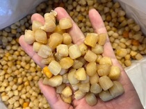 Dalian pure light dried shellfish scallop scallop column meat super dry goods baby food supplement seafood 500 grams