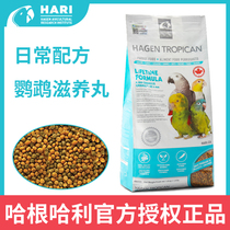 HAGEN Hagen Halli Parrot Dedicated Nourishing Pills Daily Large Parrot Bird Food Feed 4mm particles 4 lbs
