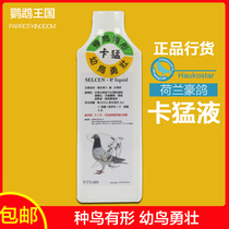 Dutch haute dove card Raptors parrot birds Pigeon Pro breeding health supplements Calcium Supplements to improve the breeding rate