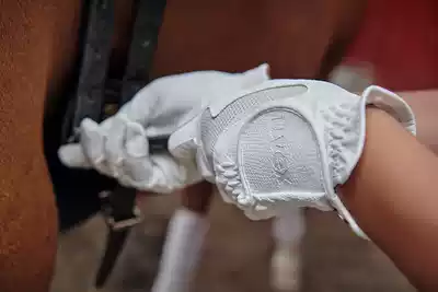 Classic summer breathable men's and women's touch screen equestrian gloves riding gloves German UVEX knight supplies