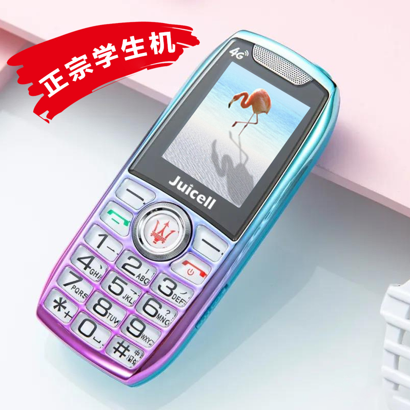 Student-Specific Mobile Phone with Only Calling Function, No Games, No Internet Access, for Middle and High School Students, with Vibration and Silent Features