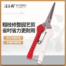 Wang Wuquan scissors Gardening scissors package Garden tools Household fruit tree branch scissors Flower scissors Grafting scissors Coarse branch scissors